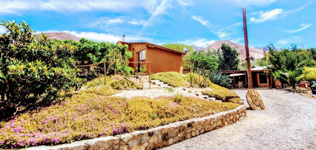 Vila Refugios Pisco Elqui Exteriér fotografie
